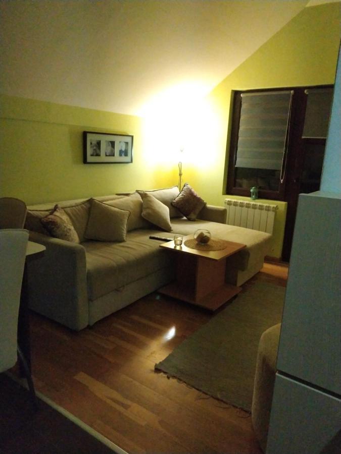 Apartment Gledovic Zlatibor Exterior photo